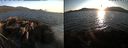 ./images/rivers-inlet/ethel/20220824/ethel20220824_194457.jpg