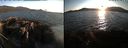 ./images/rivers-inlet/ethel/20220824/ethel20220824_194957.jpg