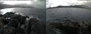 ./images/rivers-inlet/ethel/20240225/ethel20240225_103953.jpg