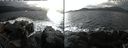 ./images/rivers-inlet/ethel/20240225/ethel20240225_145953.jpg