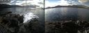 ./images/rivers-inlet/ethel/20240226/ethel20240226_135453.jpg