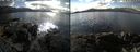 ./images/rivers-inlet/ethel/20240226/ethel20240226_135953.jpg