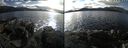 ./images/rivers-inlet/ethel/20240226/ethel20240226_143953.jpg