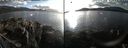 ./images/rivers-inlet/ethel/20240226/ethel20240226_162453.jpg