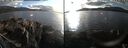 ./images/rivers-inlet/ethel/20240226/ethel20240226_162953.jpg