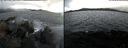 ./images/rivers-inlet/ethel/20240228/ethel20240228_143953.jpg