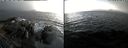 ./images/rivers-inlet/ethel/20240228/ethel20240228_155953.jpg