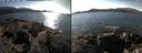 ./images/rivers-inlet/ethel/20240304/ethel20240304_140453.jpg