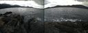 ./images/rivers-inlet/ethel/20240307/ethel20240307_092453.jpg