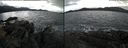 ./images/rivers-inlet/ethel/20240307/ethel20240307_093953.jpg