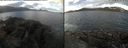 ./images/rivers-inlet/ethel/20240310/ethel20240310_092953.jpg