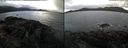 ./images/rivers-inlet/ethel/20240312/ethel20240312_092953.jpg