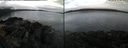 ./images/rivers-inlet/ethel/20240321/ethel20240321_083453.jpg