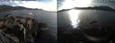 ./images/rivers-inlet/ethel/20240322/ethel20240322_175953.jpg