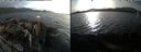 ./images/rivers-inlet/ethel/20240324/ethel20240324_180953.jpg
