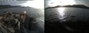 ./images/rivers-inlet/ethel/20240324/ethel20240324_183953.jpg
