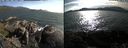 ./images/rivers-inlet/ethel/20240727/ethel20240727_175947.jpg