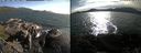 ./images/rivers-inlet/ethel/20240727/ethel20240727_180947.jpg