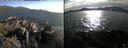 ./images/rivers-inlet/ethel/20240727/ethel20240727_182948.jpg