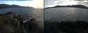 ./images/rivers-inlet/ethel/20240727/ethel20240727_185947.jpg