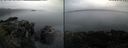 ./images/rivers-inlet/ethel/20240729/ethel20240729_202947.jpg