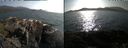 ./images/rivers-inlet/ethel/20240805/ethel20240805_175447.jpg