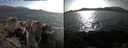 ./images/rivers-inlet/ethel/20240806/ethel20240806_174947.jpg