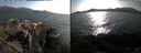./images/rivers-inlet/ethel/20240806/ethel20240806_180447.jpg