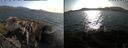 ./images/rivers-inlet/ethel/20240806/ethel20240806_182947.jpg