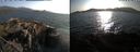 ./images/rivers-inlet/ethel/20240806/ethel20240806_185447.jpg