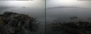 ./images/rivers-inlet/ethel/20240917/ethel20240917_083959.jpg