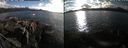 ./images/rivers-inlet/ethel/20240917/ethel20240917_173959.jpg