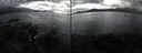 ./images/rivers-inlet/ethel/20240919/ethel20240919_150959.jpg