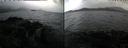 ./images/rivers-inlet/ethel/20240926/ethel20240926_150959.jpg