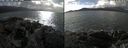 ./images/rivers-inlet/ethel/20240927/ethel20240927_142959.jpg