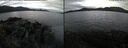 ./images/rivers-inlet/ethel/20241011/ethel20241011_083458.jpg