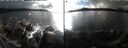 ./images/rivers-inlet/ethel/20241020/ethel20241020_162958.jpg