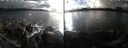 ./images/rivers-inlet/ethel/20241020/ethel20241020_163458.jpg