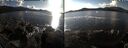 ./images/rivers-inlet/ethel/20241021/ethel20241021_153458.jpg