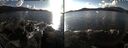 ./images/rivers-inlet/ethel/20241021/ethel20241021_153958.jpg
