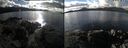 ./images/rivers-inlet/ethel/20241028/ethel20241028_140458.jpg