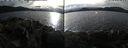 ./images/rivers-inlet/ethel/20241029/ethel20241029_152958.jpg