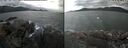 ./images/rivers-inlet/ethel/20241030/ethel20241030_115958.jpg
