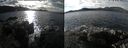 ./images/rivers-inlet/ethel/20241031/ethel20241031_131458.jpg