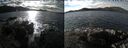 ./images/rivers-inlet/ethel/20241031/ethel20241031_132458.jpg