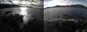 ./images/rivers-inlet/ethel/20241031/ethel20241031_133458.jpg