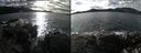 ./images/rivers-inlet/ethel/20241031/ethel20241031_134958.jpg