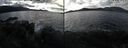 ./images/rivers-inlet/ethel/20241031/ethel20241031_135458.jpg