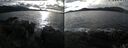 ./images/rivers-inlet/ethel/20241031/ethel20241031_142958.jpg