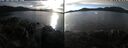 ./images/rivers-inlet/ethel/20241101/ethel20241101_152958.jpg